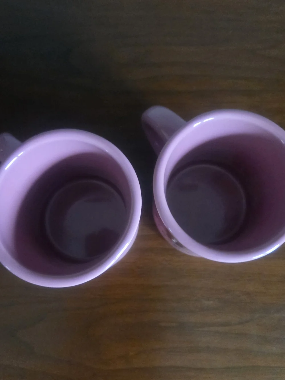 Two Life Is Good Horse Pink Coffee Mugs